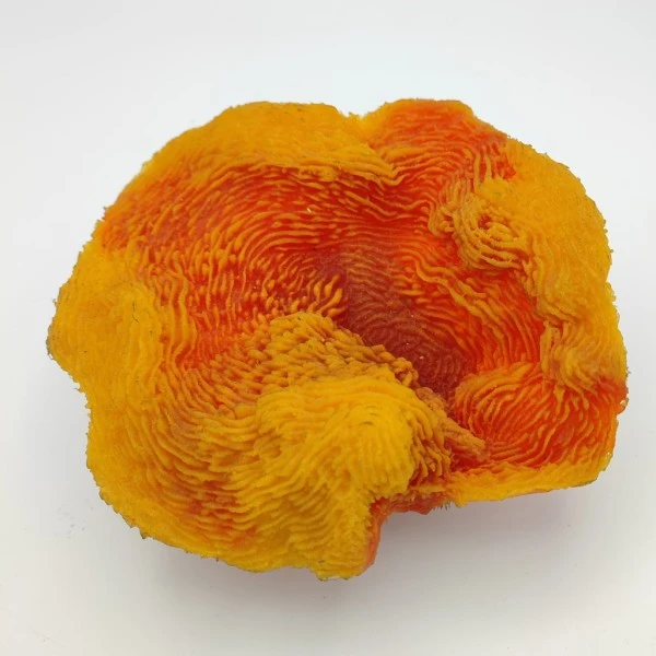 Kunstig koral Turbinaria reniformis (Orange) 17x16x7 cm